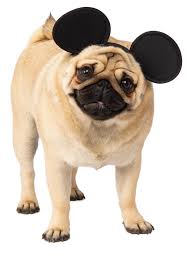 Disney Dog