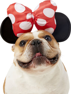 Disney Dog