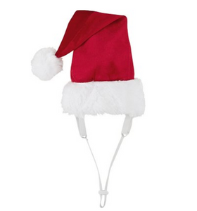 Santa Dog