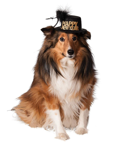 2020 Celebration Dog