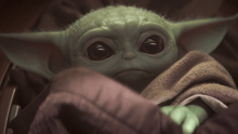 Load image into Gallery viewer, Baby Yoda Dog - Enter Contest!